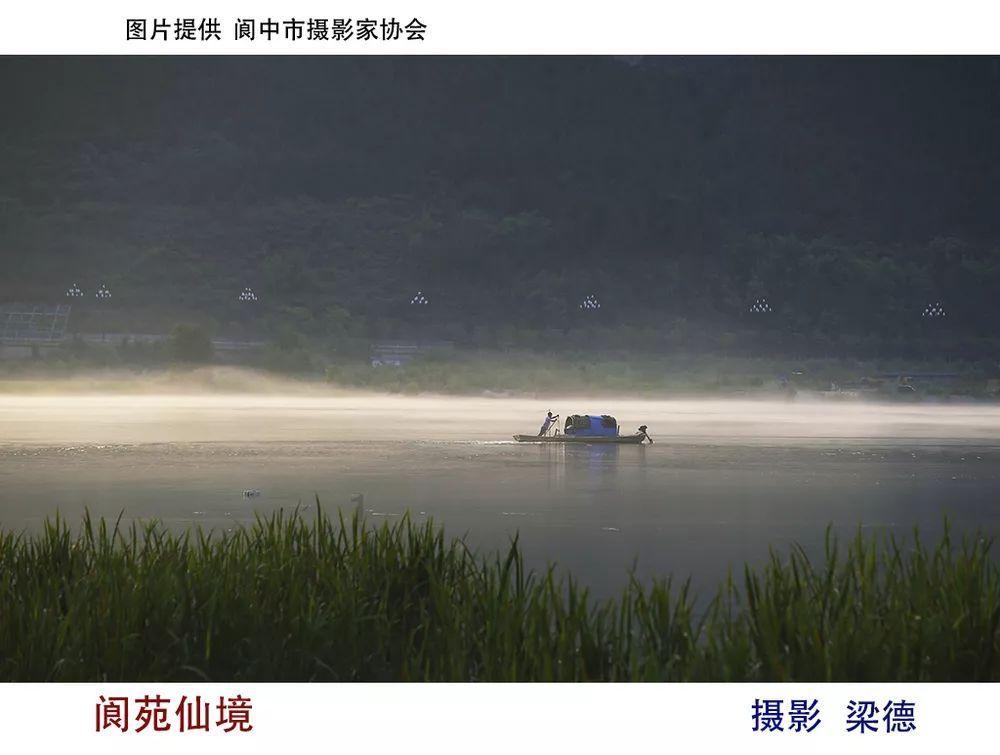星动，只为你