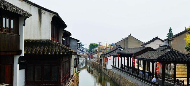 小仓鼠吃瓜子